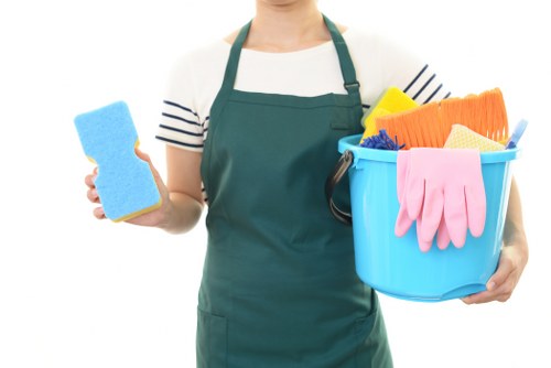 Senior review of a carpet cleaning complaint