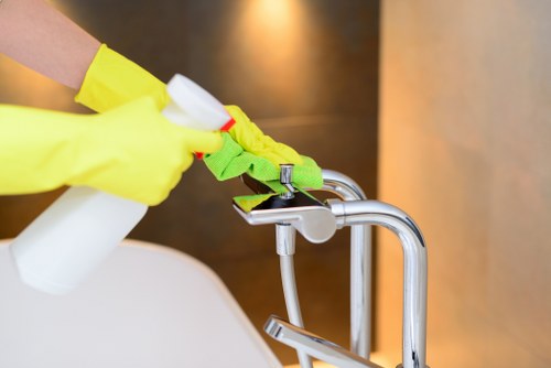 Professional carpet cleaning in a Belsize Park home