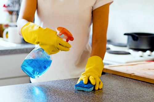 Professional sofa cleaning in a Belsize Park living room