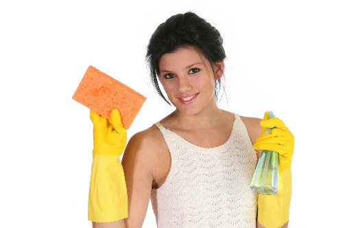 Cookie categories for a cleaning service website