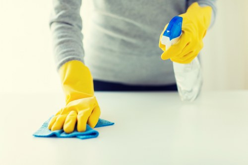 Professional carpet cleaner assessing a room before starting work