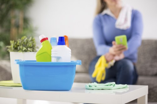 Image showing screen-reader friendly website design for carpet cleaners