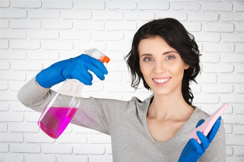Deep cleaning carpet to eliminate pet odours